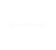 Investment